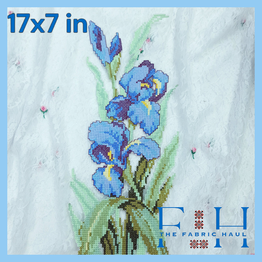 Wild Iris